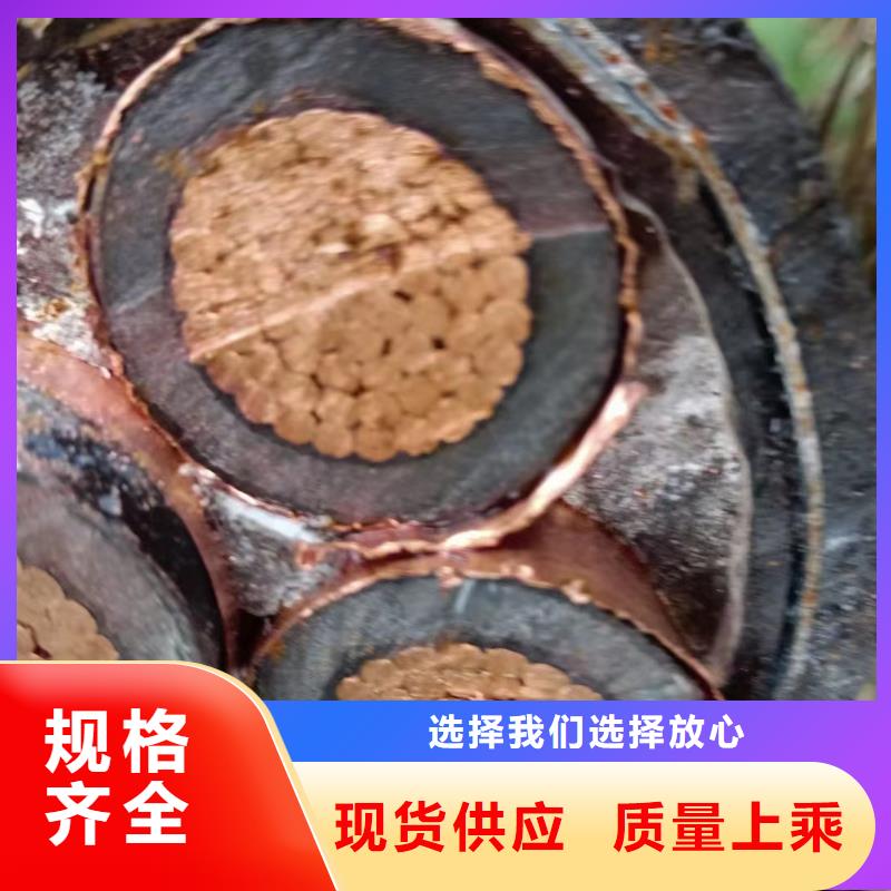 专业销售废旧电缆回收-现货供应