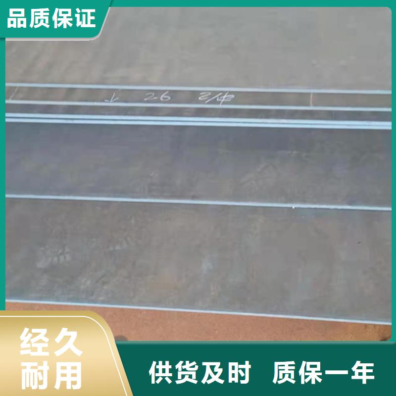 水泥推料机齿板外值得信赖