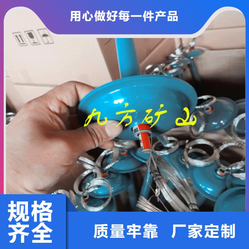 崇川数显顶板离层仪