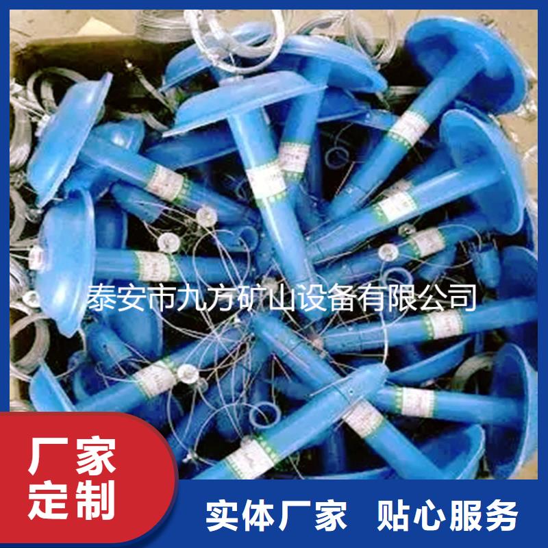 崇川数显顶板离层仪
