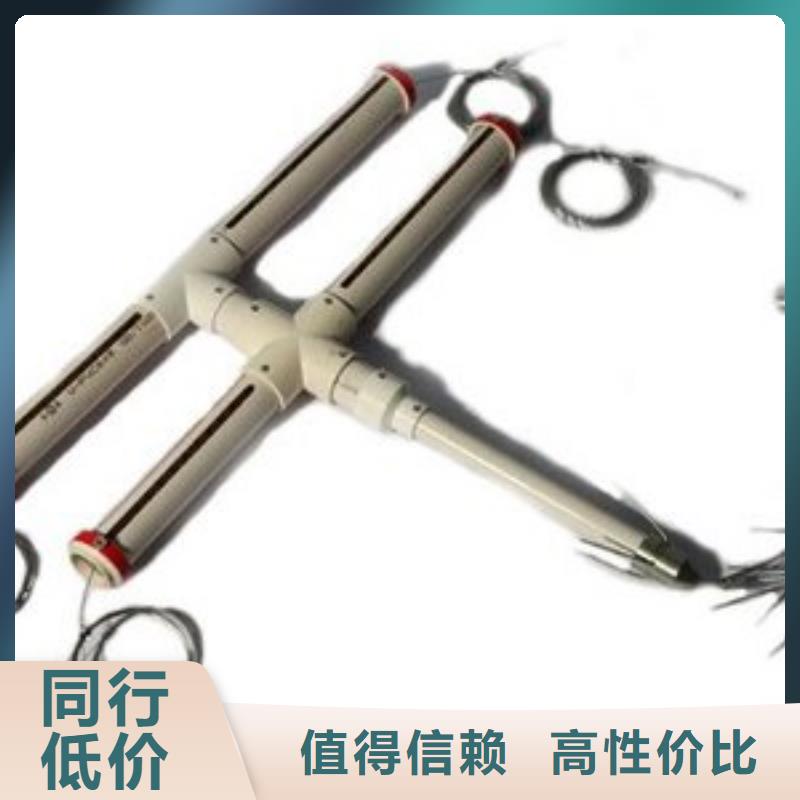 玉环DLY-3顶板离层仪