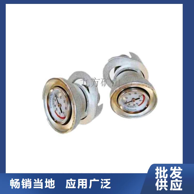 DZ-60单体支柱测压仪质量放心