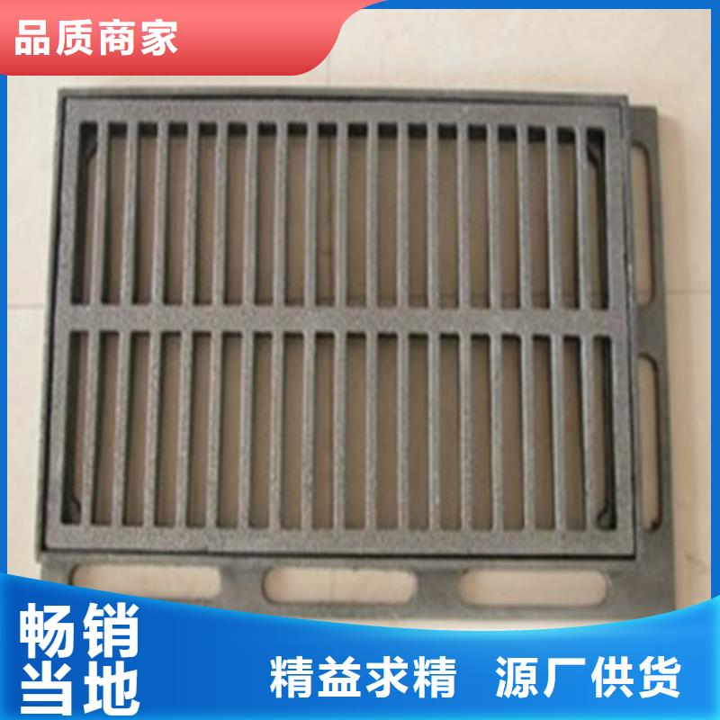 球墨铸铁单篦子C250欢迎致电