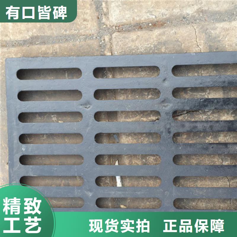 球墨铸铁单篦子C250欢迎致电