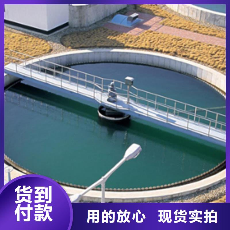 聚丙烯酰胺椰壳炭精心