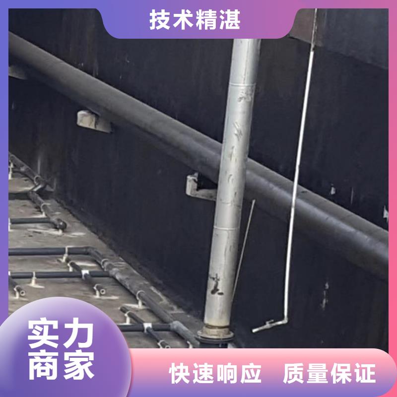 泵房水下探摸非标定制