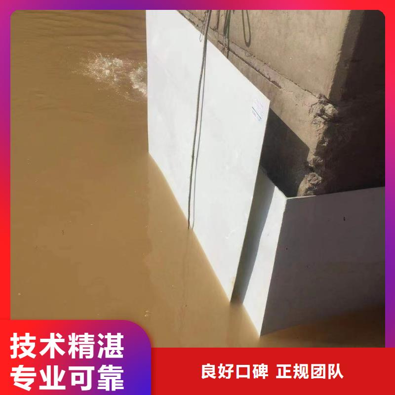 泵房水下探摸非标定制