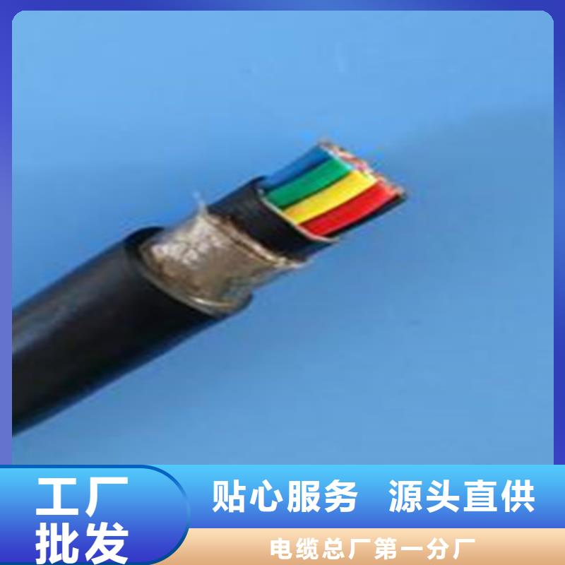 ZC-DJYP2VP2-22优质源头厂家