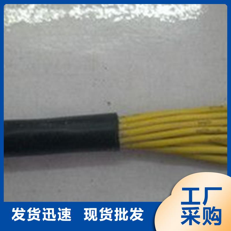 特种电缆信号电缆现货批发