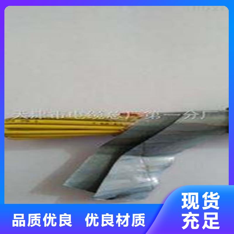 卖MHYVR2X1.0矿用软芯通讯电缆的基地