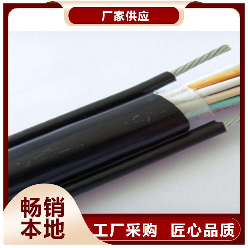 口碑好的电压线直销2.5平方厂家