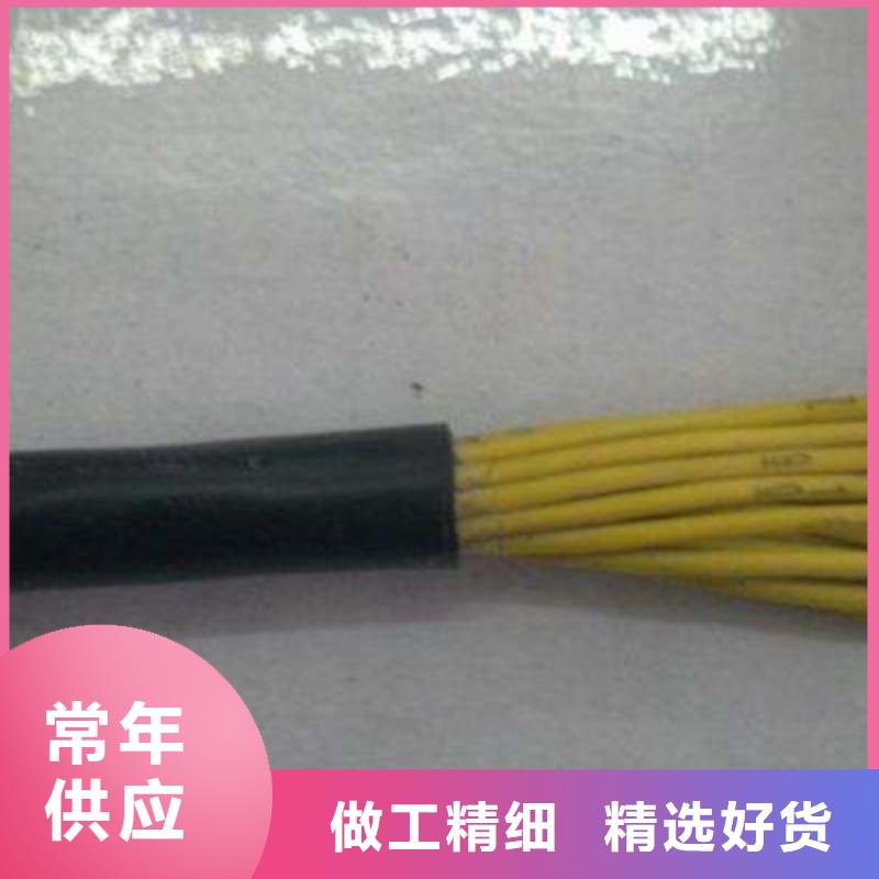 供应批发LIYCY(TP)3X2X0.5电缆-保质