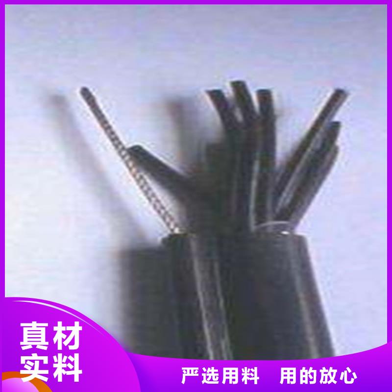 BP-YJP2VP2双屏蔽变频电缆量大从优3X16+2X10