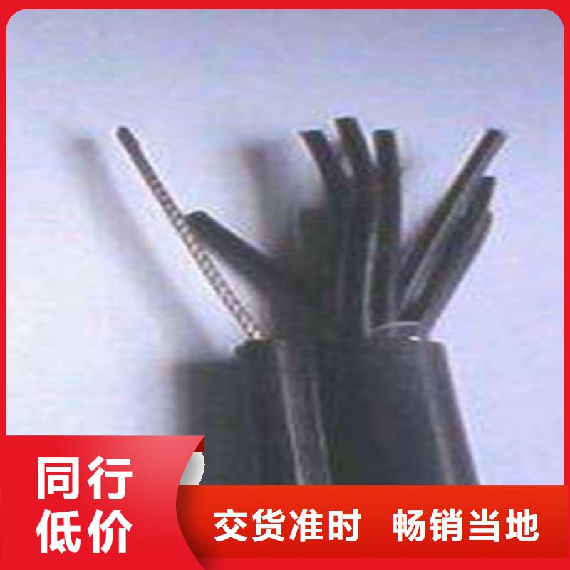 特种电缆通信电缆工艺精细质保长久
