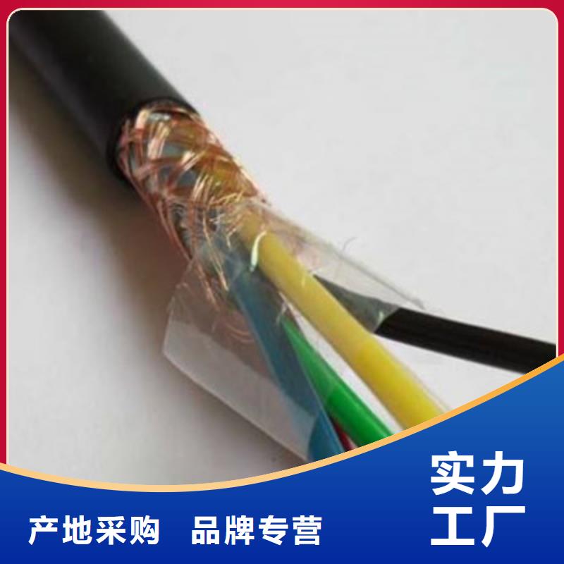 ZC-DJYP2VP2-22优质源头厂家