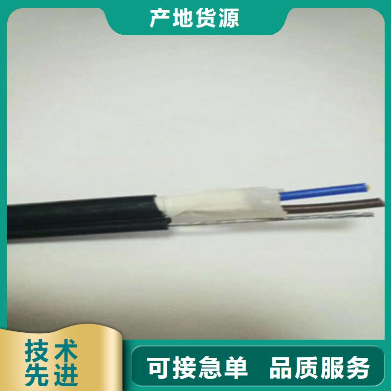 zrb-kvvp2-22铜带屏蔽铠装控制电缆物流快捷
