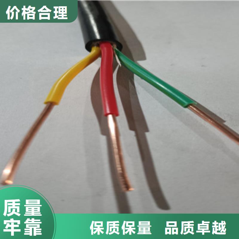 阻燃通信电缆ZR-RVVS2X12AWG结构来厂考察