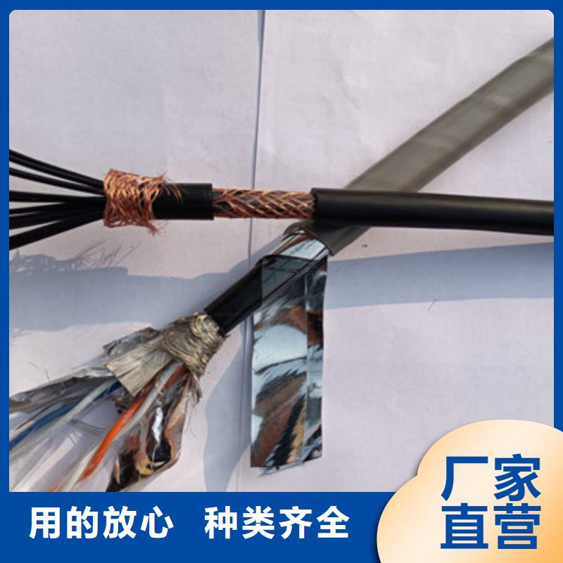 ZC-DJYP2VP2-22优质源头厂家