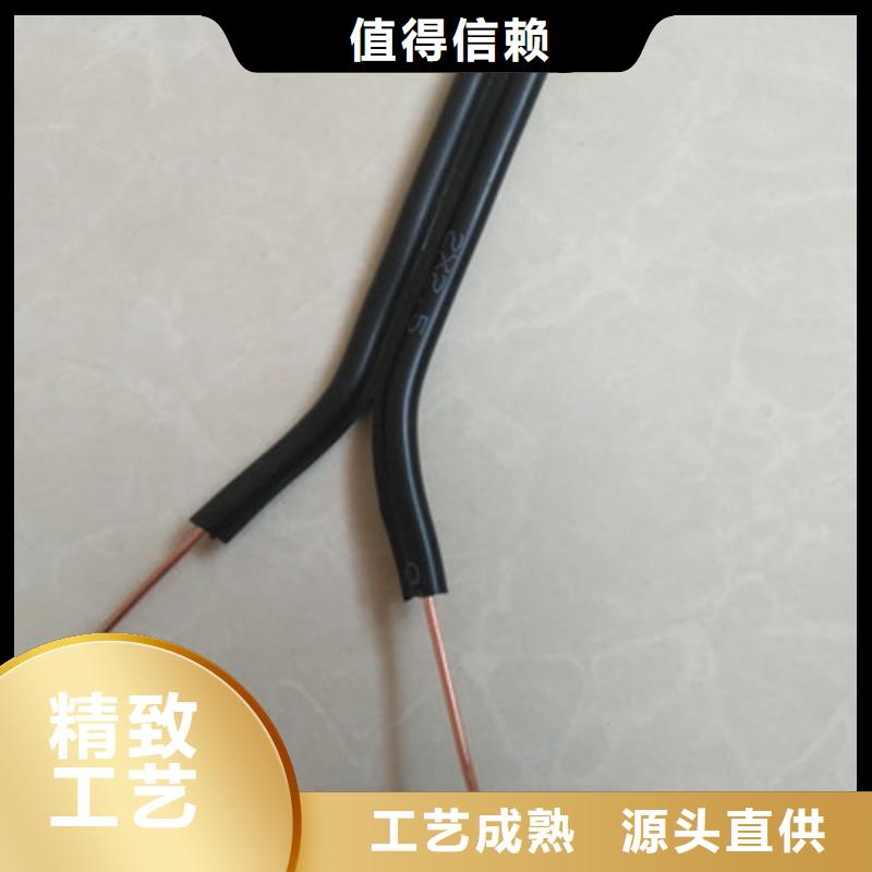 FF总线电缆优质供货厂家