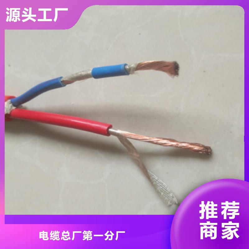 特种电缆信号电缆现货批发