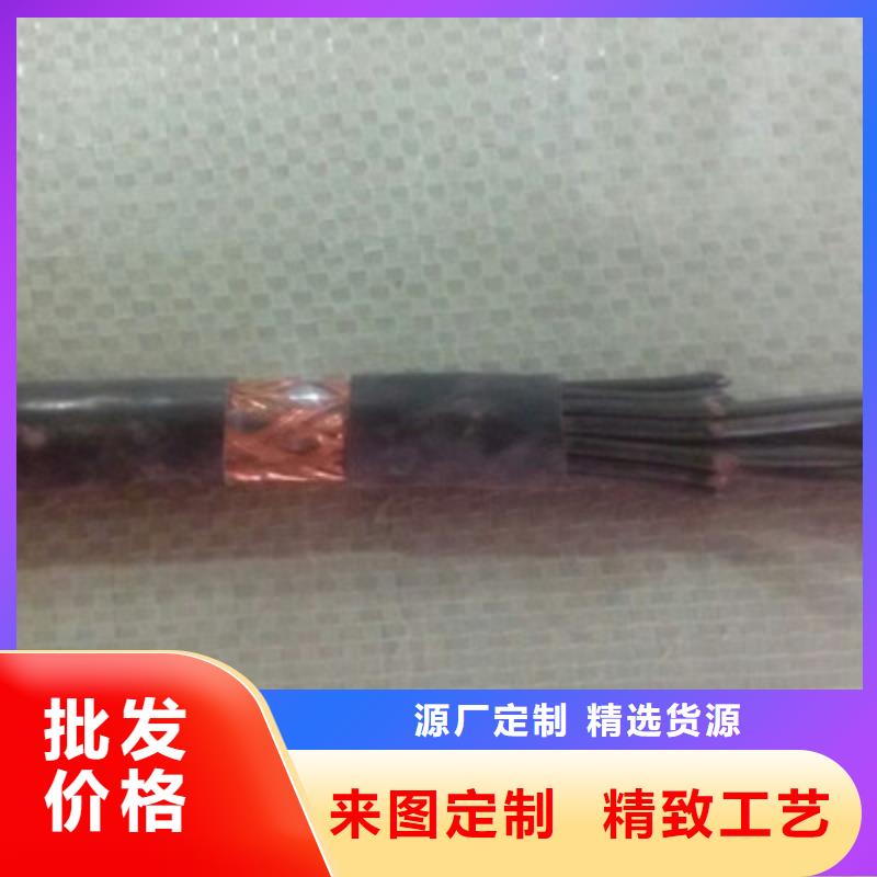 卖对绞型控制电缆RVSVP21厂家	的销售厂家