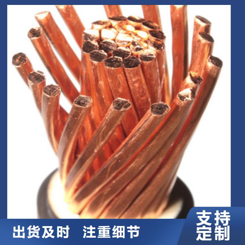 ZC-DJYP2VP2-22优质源头厂家