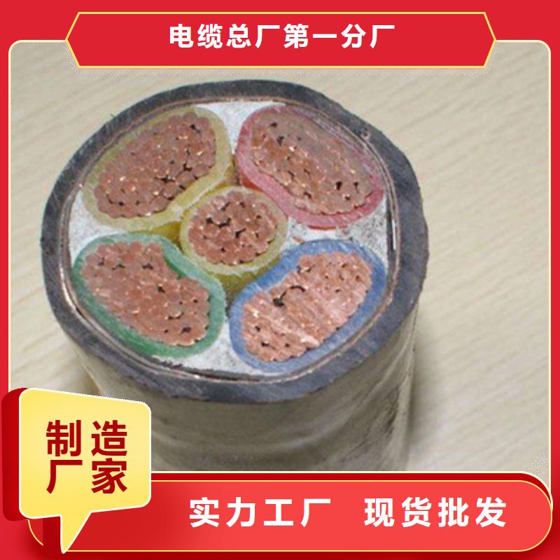 找阻燃计算机电缆ZRBDTYVP22铠装【无中间商】