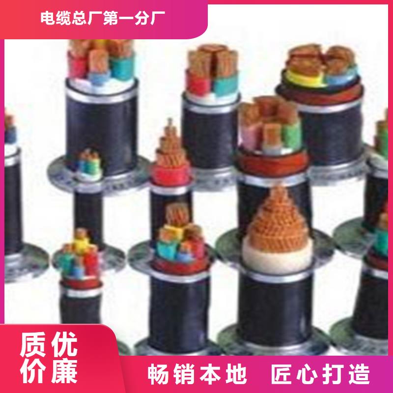 BP-YJP2VP2双屏蔽变频电缆量大从优3X16+2X10