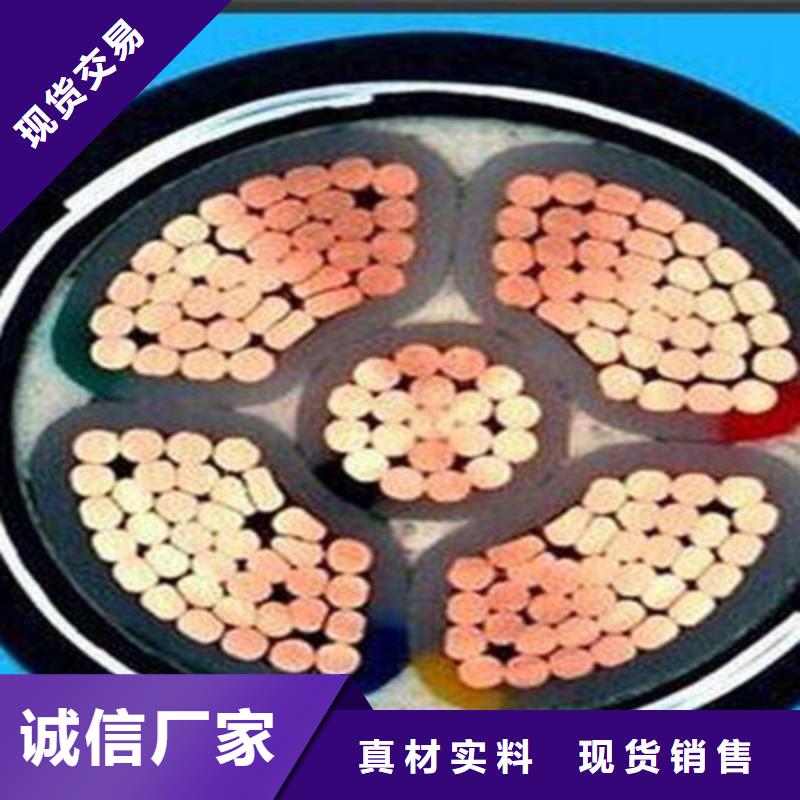 2X2X1.0计算机线缆结构质量好