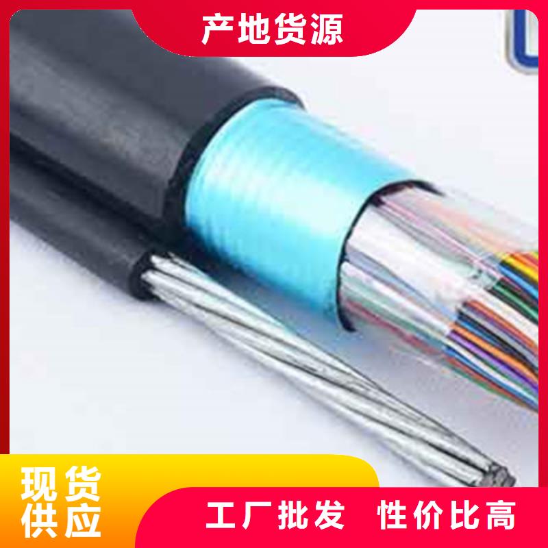 通信电缆屏蔽电缆专业设计
