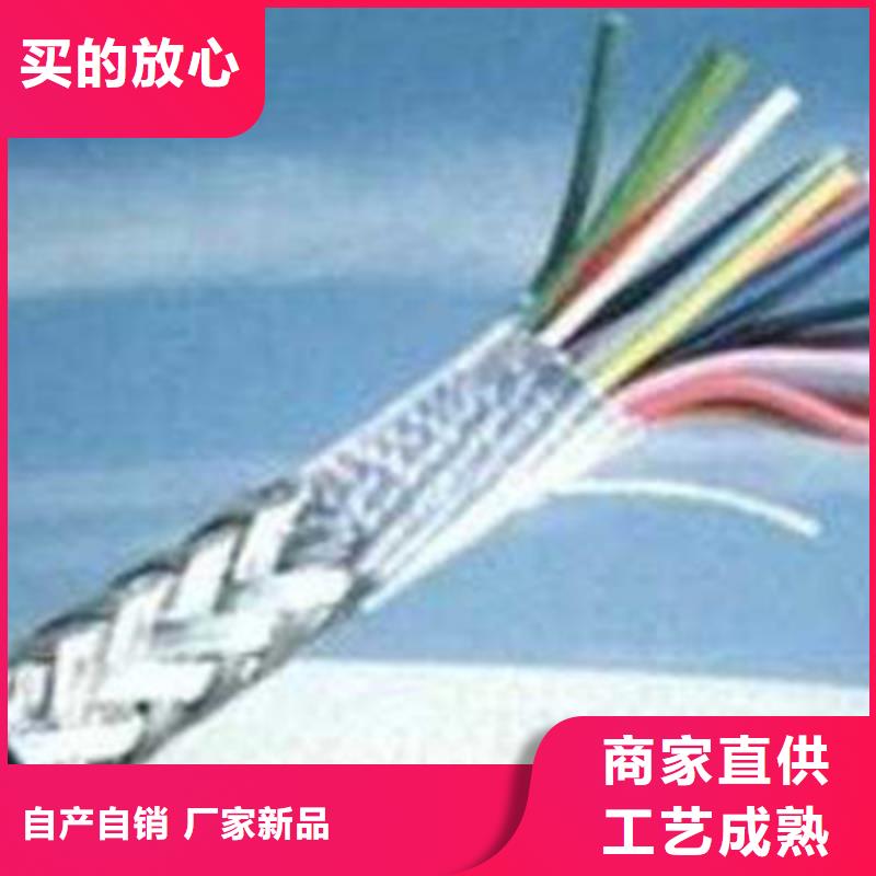 【计算机电缆屏蔽电缆精品优选】