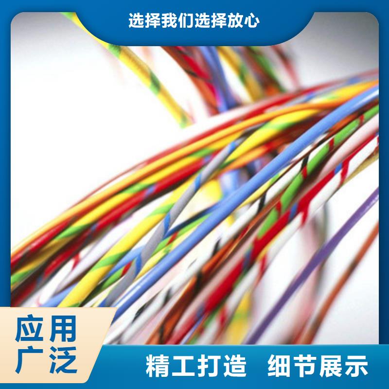 WDZ-DJVP3VR低烟无卤计算机电缆终身质保