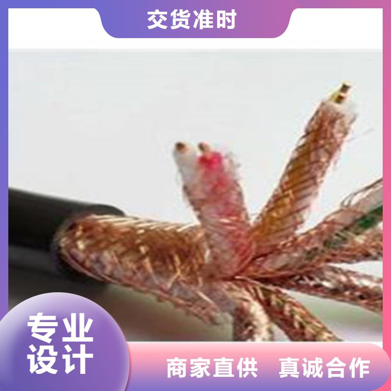 阻燃计算机电缆ZR-DJVP3V22厂家-生产销售一体