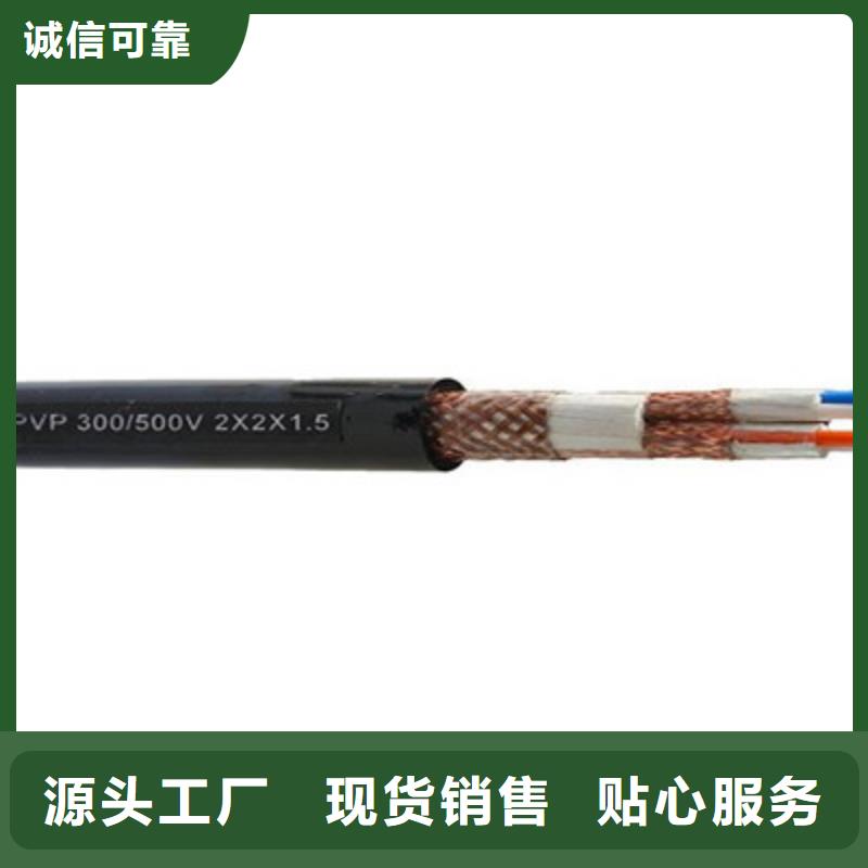 阻燃计算机电缆ZR-DJYP2V2R