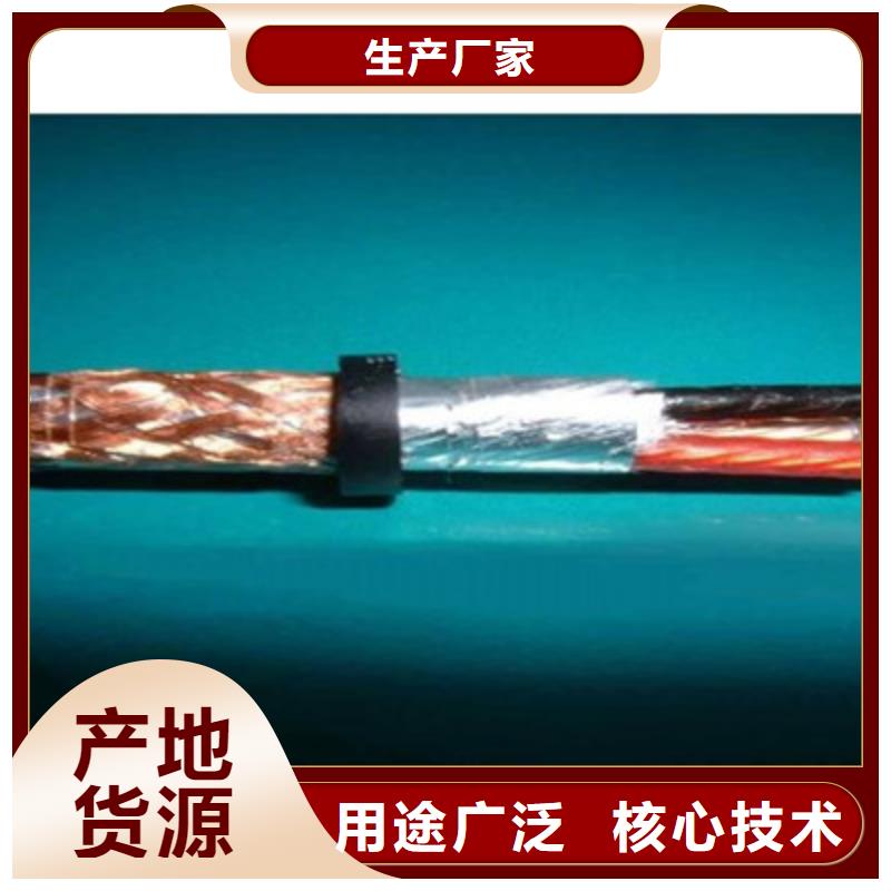 ZR-RYSPVP阻燃计算机电缆3X0.75