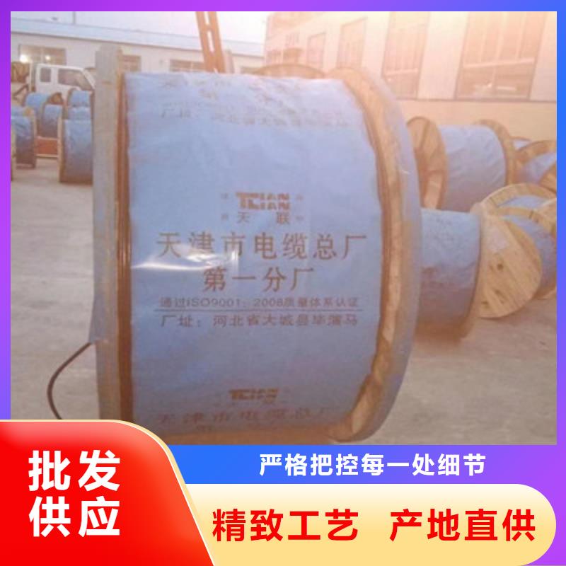 计算机电缆阻燃电缆厂家贴心服务