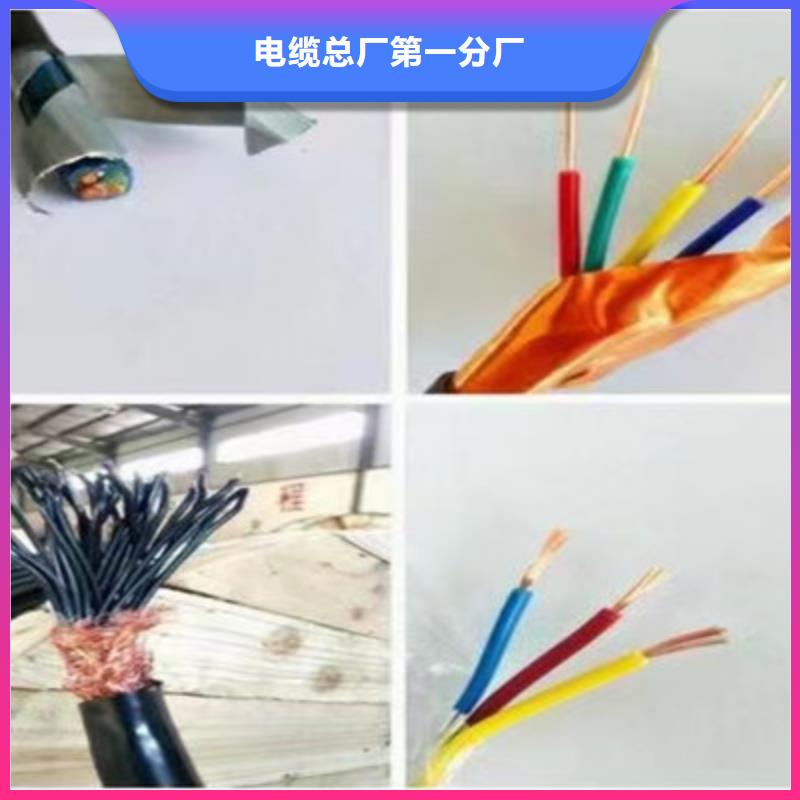 NH-RYSPVP耐火计算机电缆欢迎电询