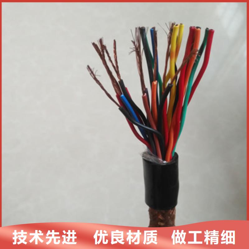 阻燃计算机电缆ZR-DJYP2V2R