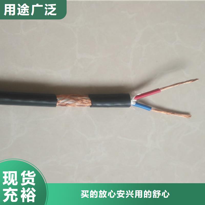 ZR-RYSPVP阻燃计算机电缆3X0.75
