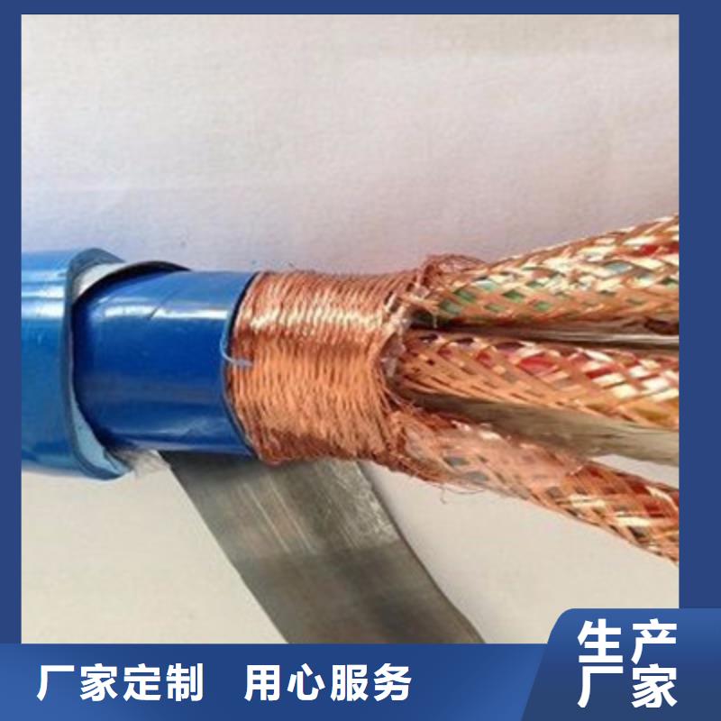 【计算机电缆屏蔽电缆精品优选】