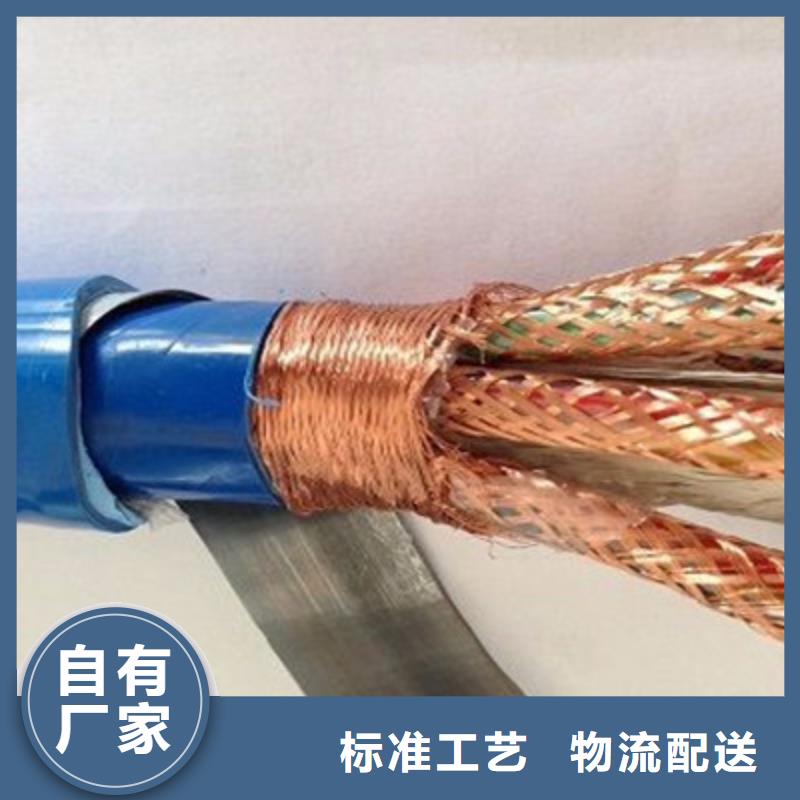 低烟无卤计算机电缆WDZ-DJVP1V-TR12X2X1.5