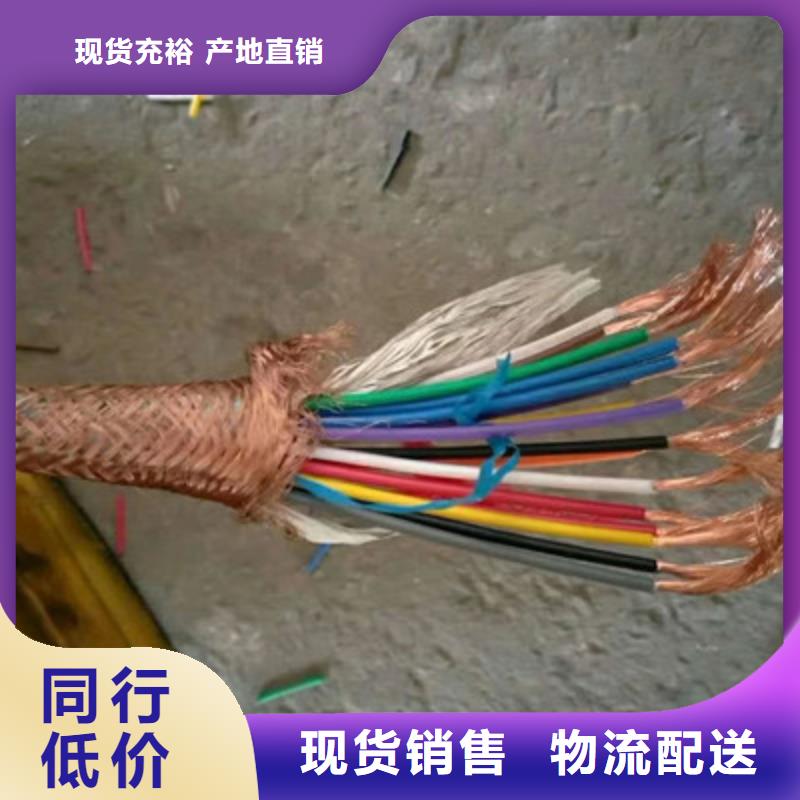 阻燃计算机电缆ZR-DJYP2V2R