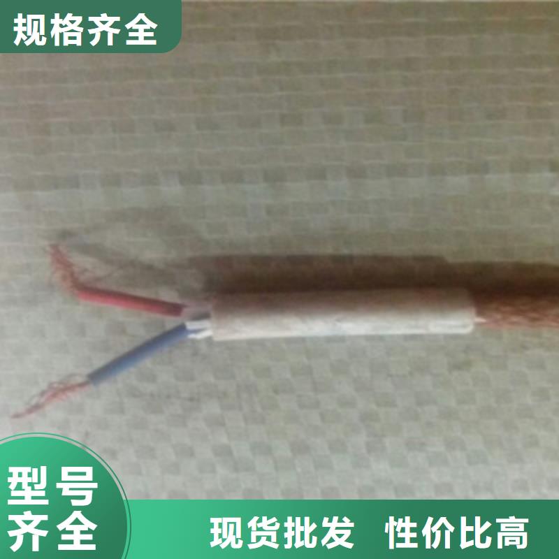 阻燃计算机电缆ZR-DJVP3V22厂家-生产销售一体