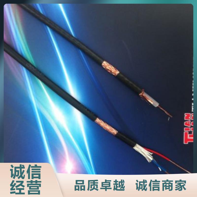 ZR-RYSPVP阻燃计算机电缆3X0.75