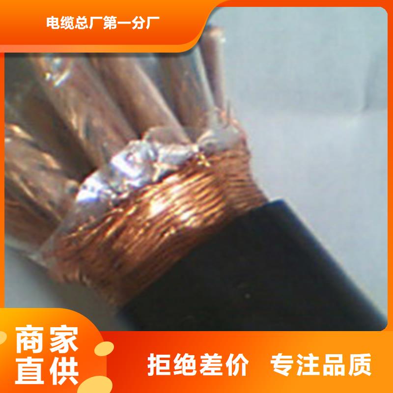ZR-RYSPVP阻燃计算机电缆3X0.75