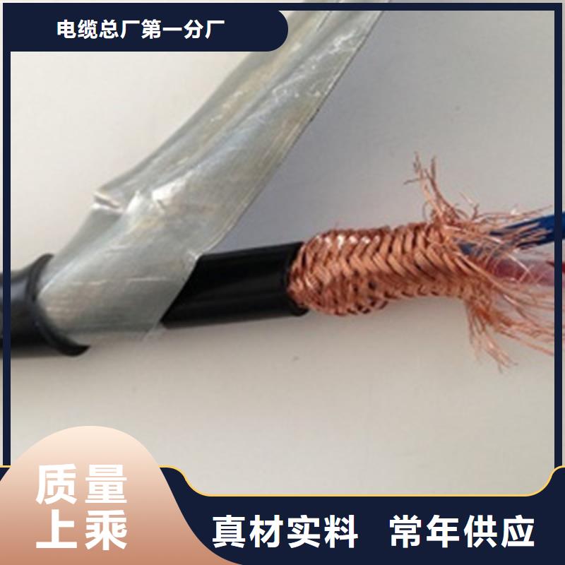 NH-RYSPVP耐火计算机电缆欢迎电询