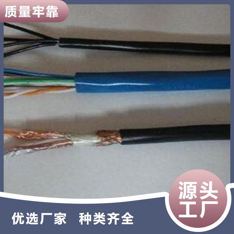 NH-RYSPVP耐火计算机电缆欢迎电询