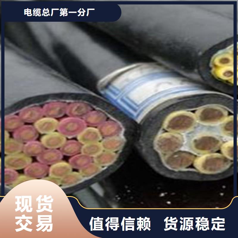 耐火铠装控制电缆NH-KVV32下单即发货