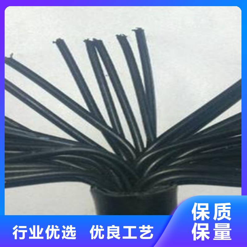 耐火铠装控制电缆NH-KVV32下单即发货