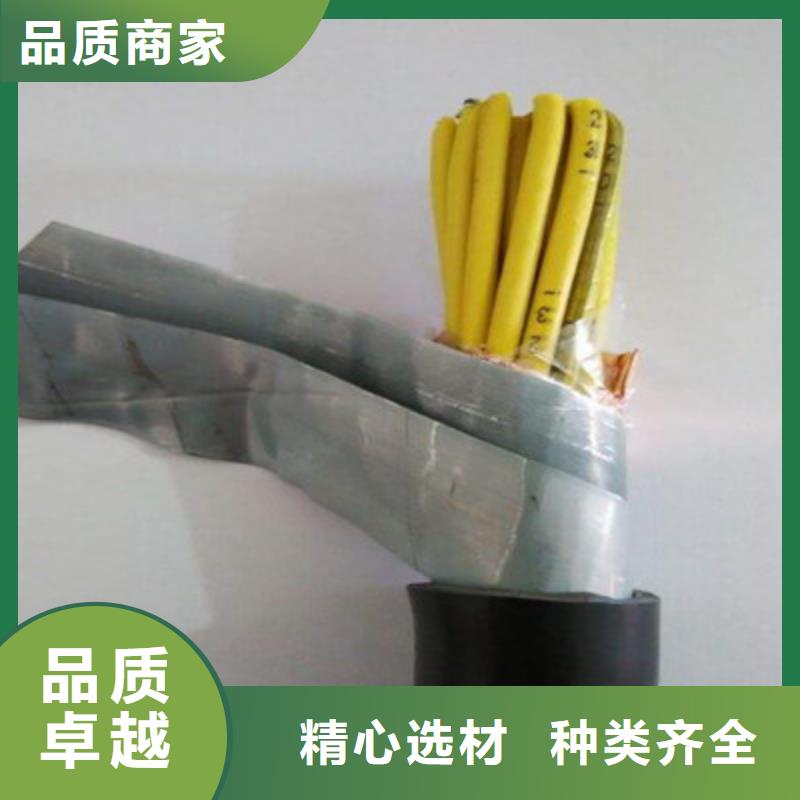 控制电缆通信电缆准时交付